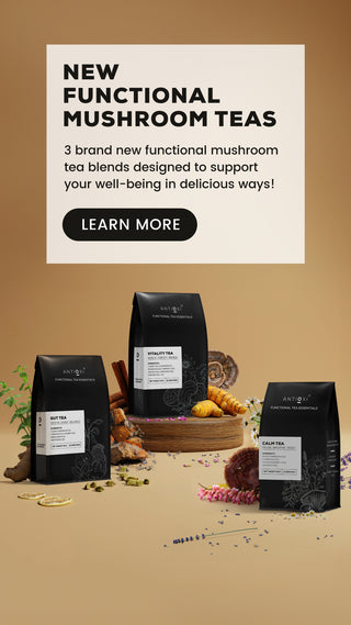 Antioxi Functional Mushroom Tea SA
